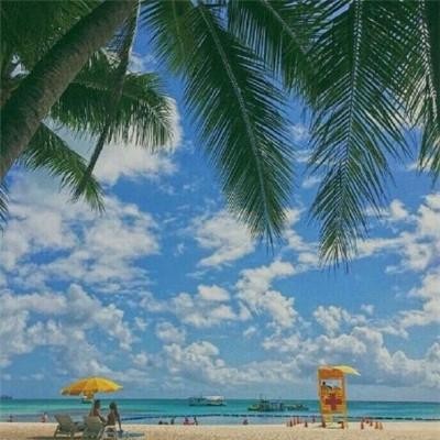 海洋的心